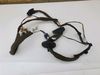 Renault Scenic error: no model left after filtering 1.6 Rear Passenger NS Door Wiring Loom 