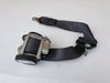 Renault Scenic error: no model left after filtering 1.6 Rear Passenger NS Seat Belt 